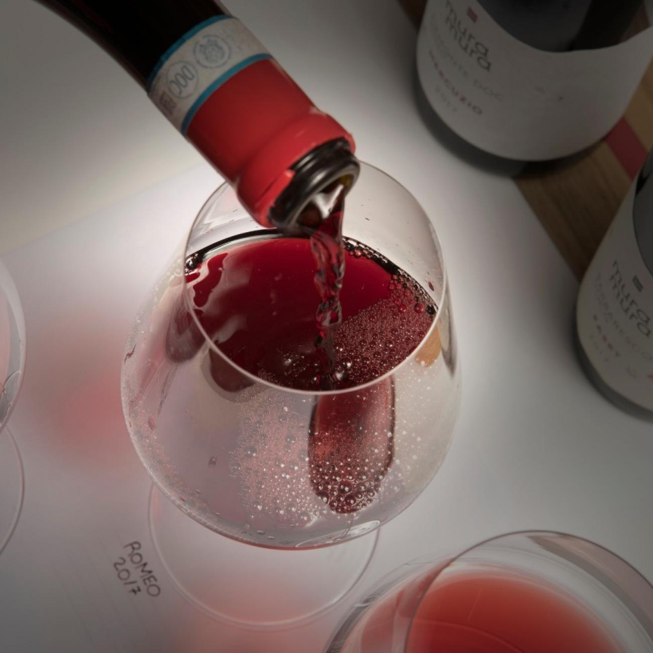 Mura Mura wine tasting and tour of the winery