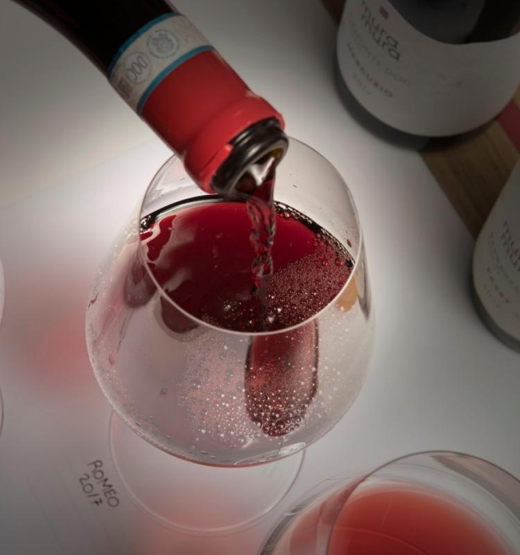 Mura Mura wine tasting and tour of the winery