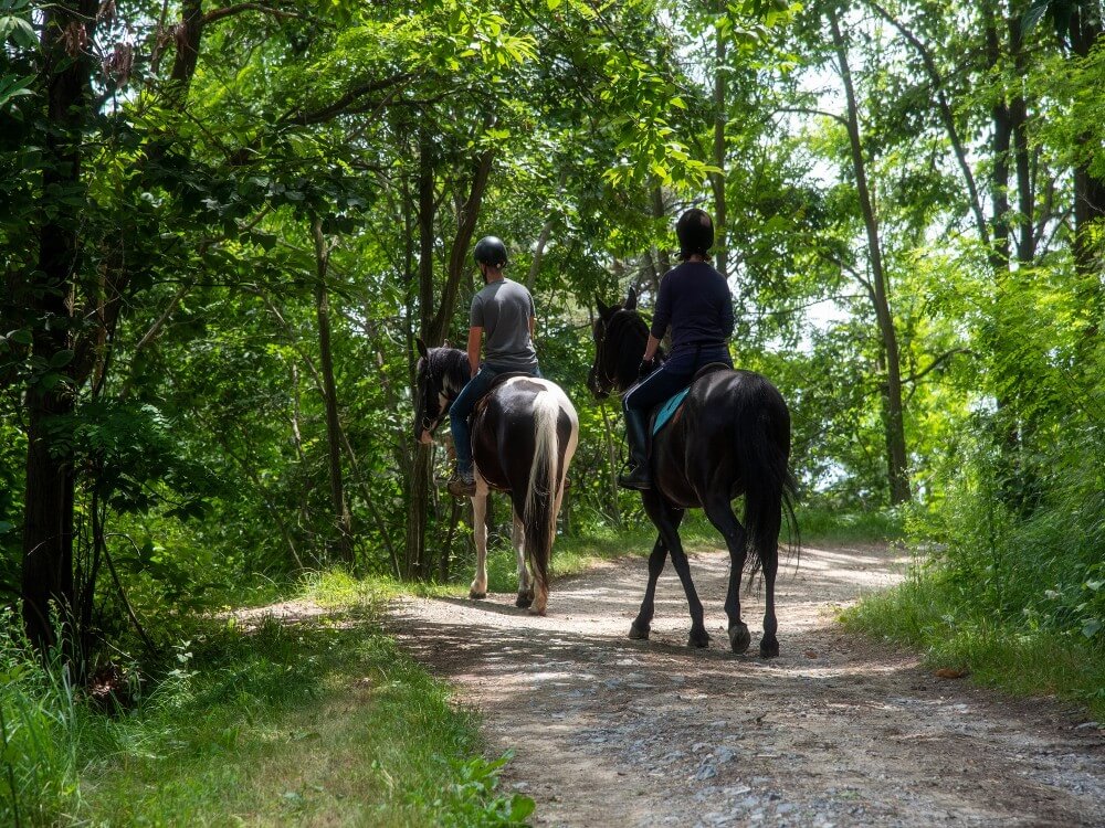 Le Marne | Relais a Mura Mura