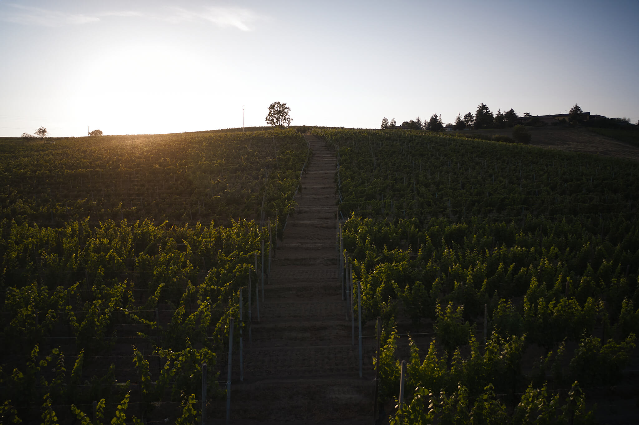 Le Marne | Relais a Mura Mura