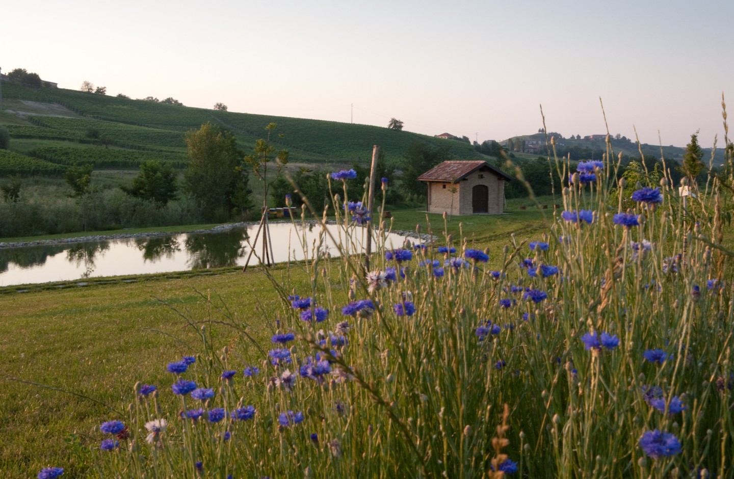 Le Marne | Relais a Mura Mura