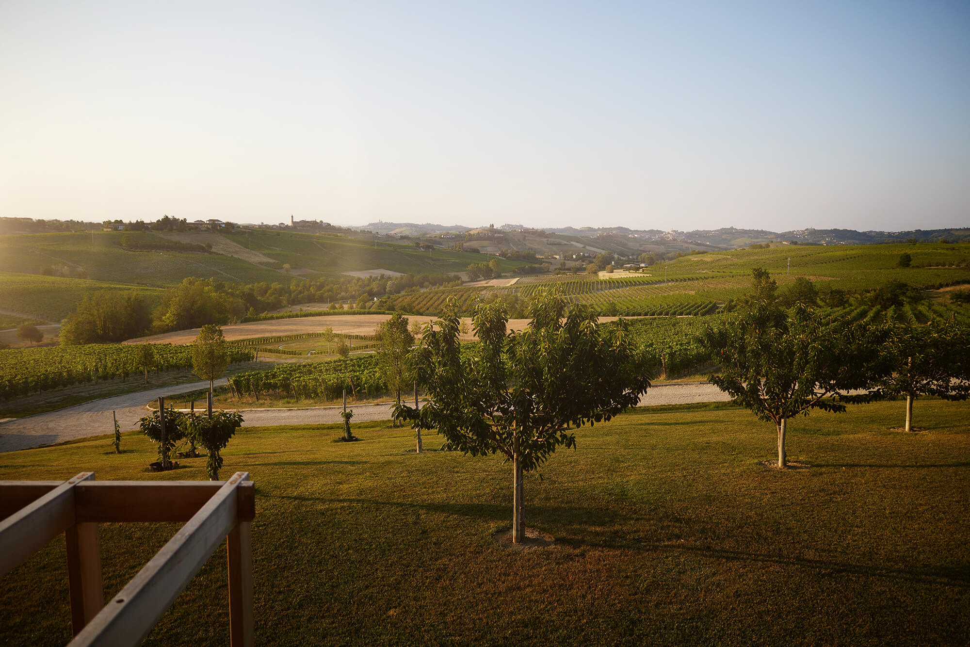 An exclusive experience between Monferrato and Langhe