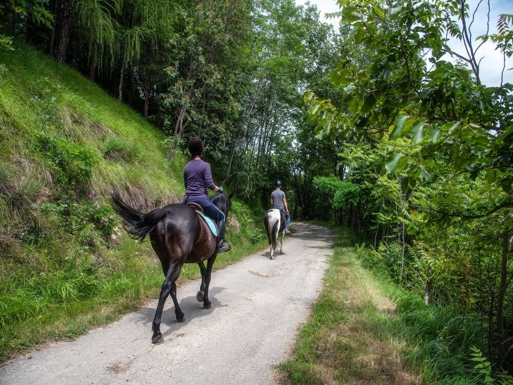 A cavallo in Alta Langa... con gusto