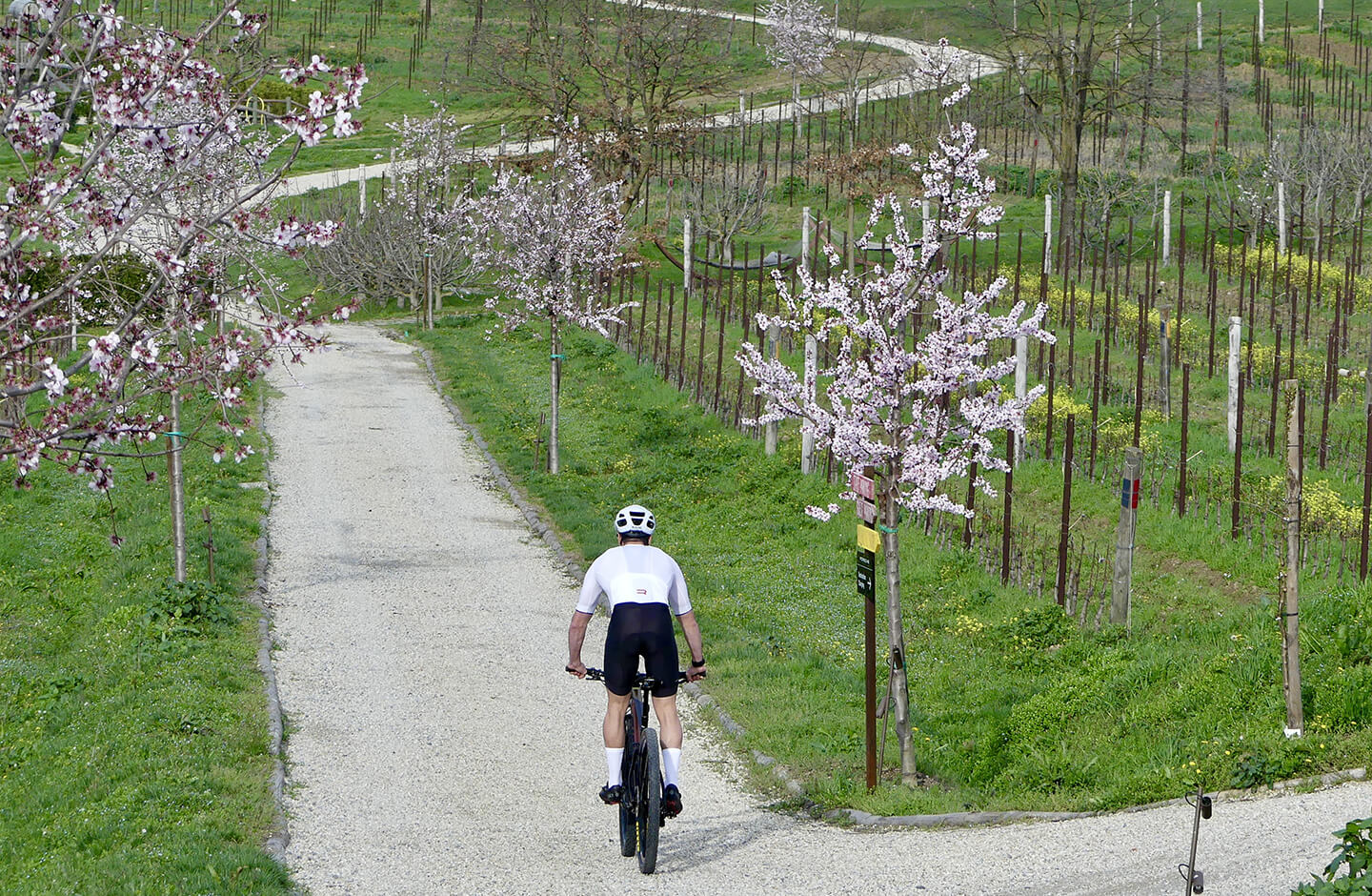 Le Marne | Relais a Mura Mura