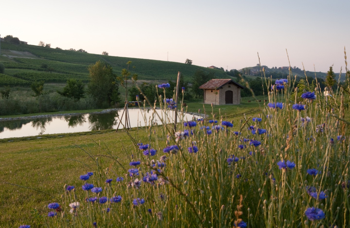 Le Marne | Relais a Mura Mura
