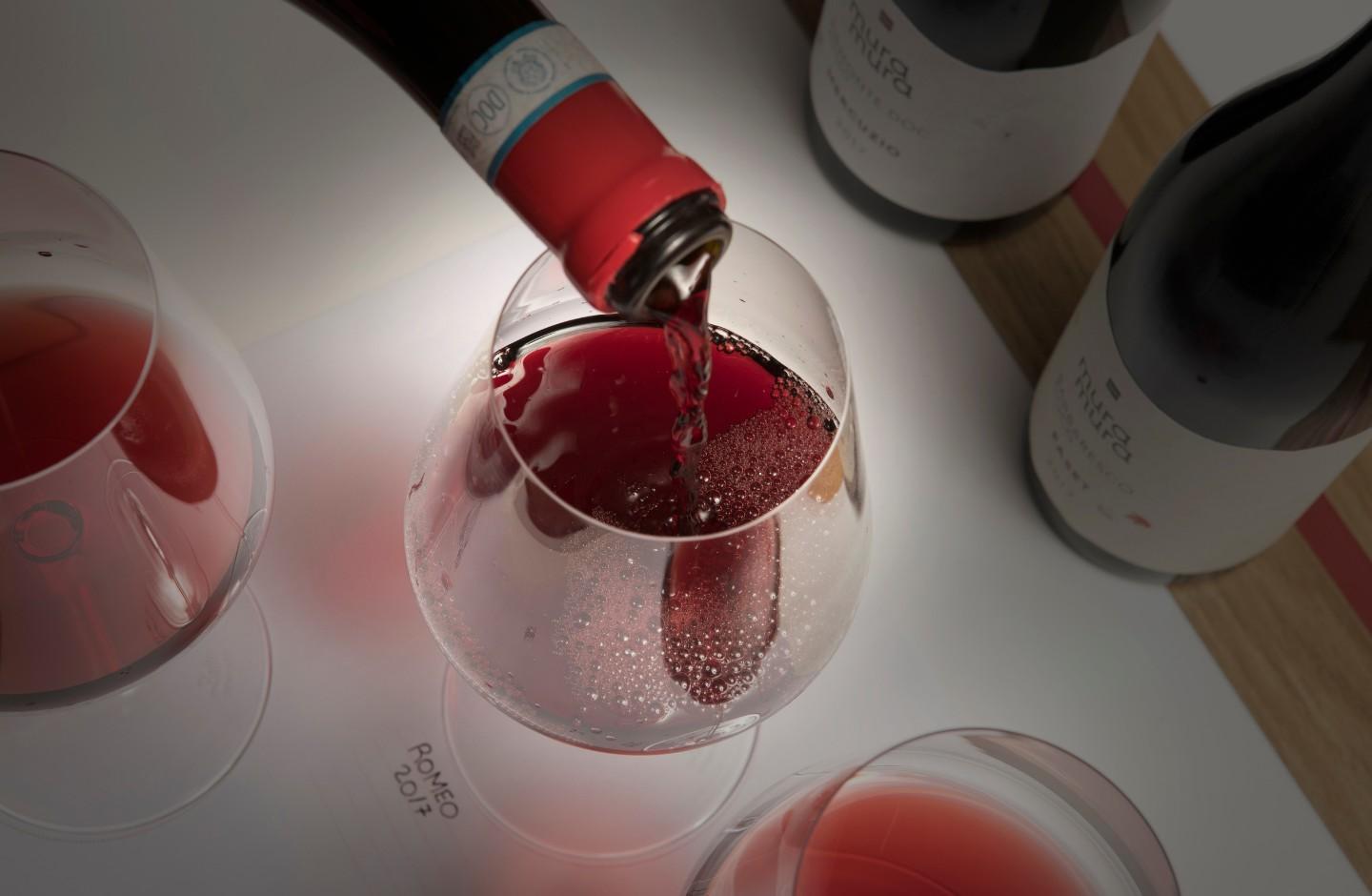 Mura Mura wine tasting and tour of the winery