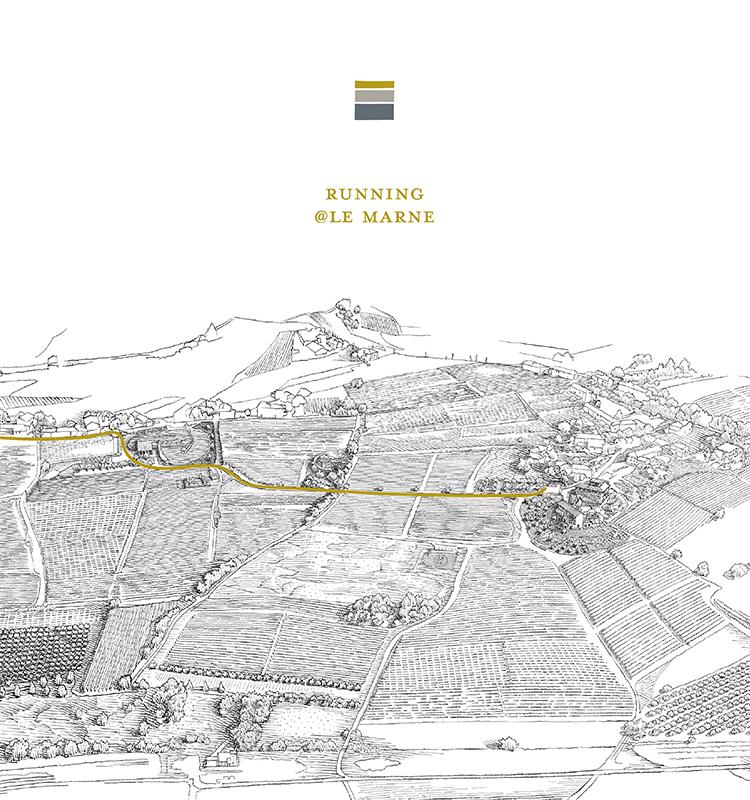 Correre tra i vigneti