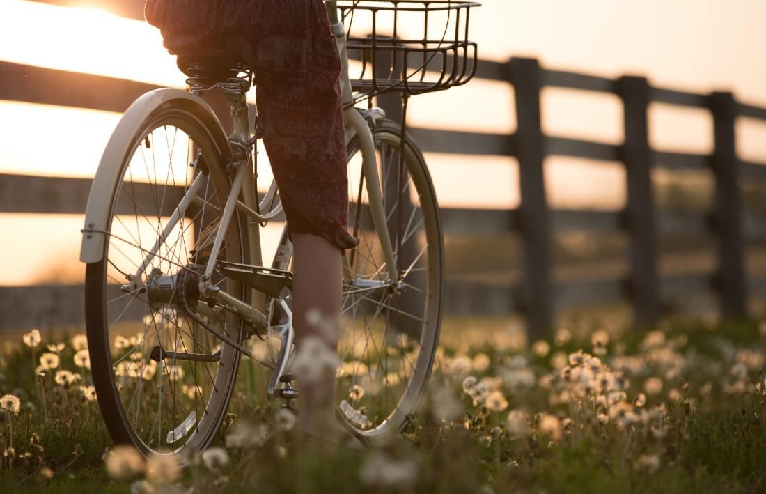 Pedala tra le vigne