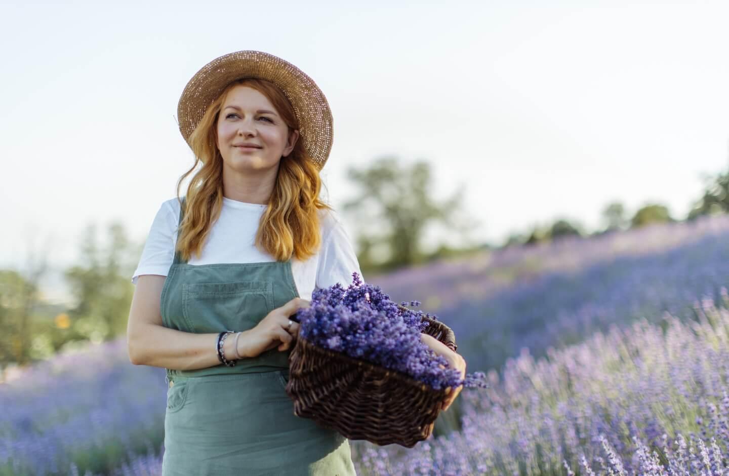 Tour lavanda e erbe officinali