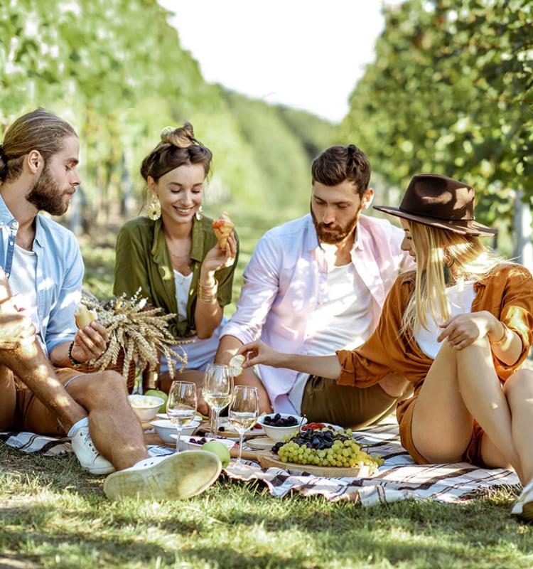 Picnic among the green hills